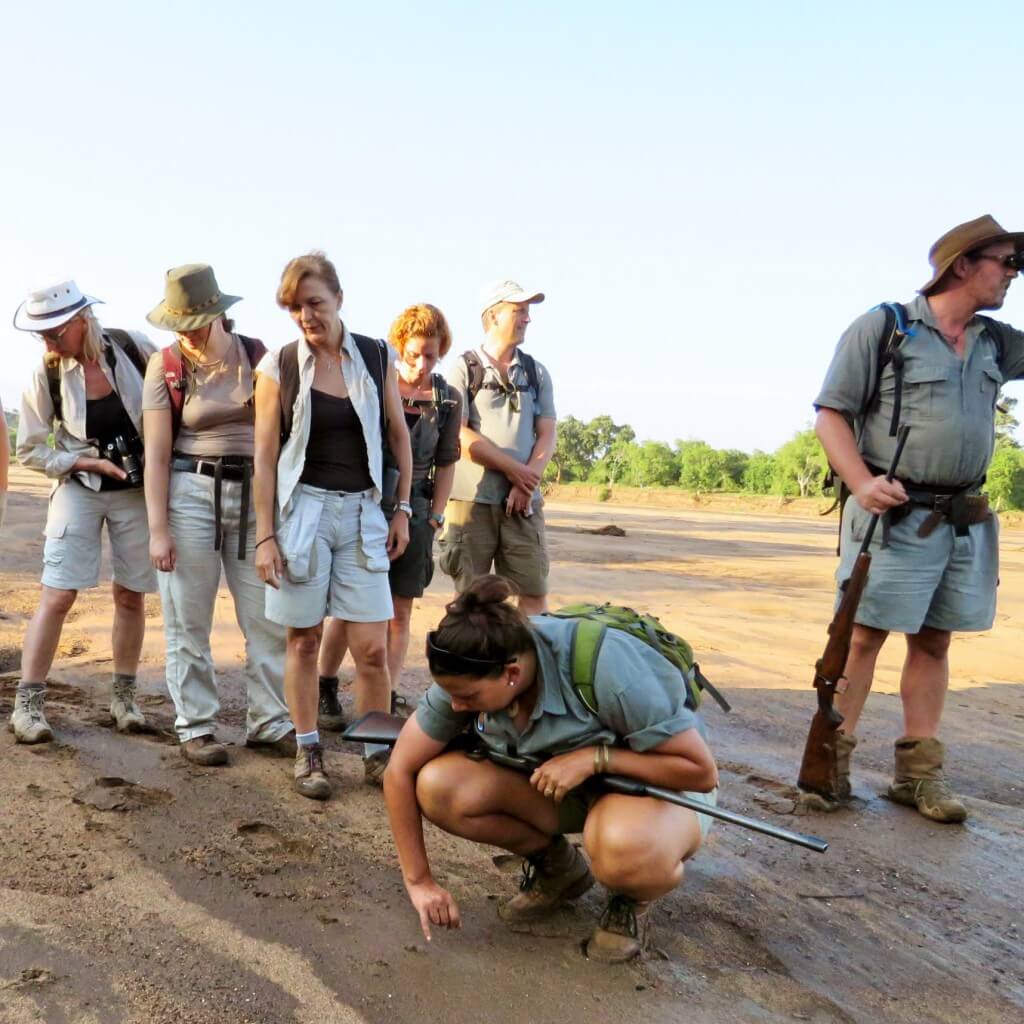 Urlaubs-Ranger beim Spurenlesen