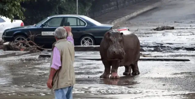 Ausnahmezustand in Georgien. (Foto: