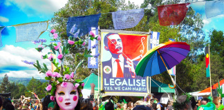 Alkohol-ist-gefährlicher-als-Cannabis