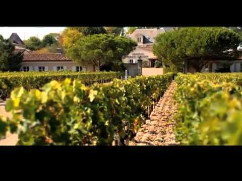 Chateau Les Carmes Haut-Brion baut Weinkeller für 10 Millionen