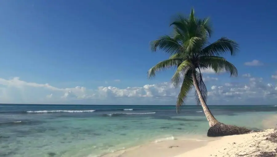 Unternehmer-im-Urlaub-entspannen
