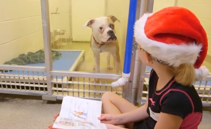 Kinder helfen Hunden mit Vorlesen im Tierheim