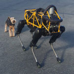 Dieser Roboter der Firma Boston Dynamics wird noch etwas misstrauisch vom Hund eines Mitarbeiters begutachtet. (Foto: flickr/ Steve Jurvetson)