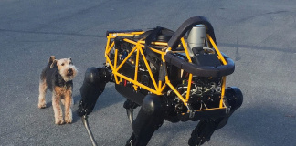 Dieser Roboter der Firma Boston Dynamics wird noch etwas misstrauisch vom Hund eines Mitarbeiters begutachtet. (Foto: flickr/ Steve Jurvetson)