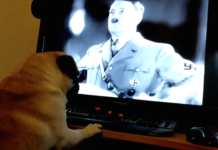 Hund Nazi-Gruß Adolf Hitler