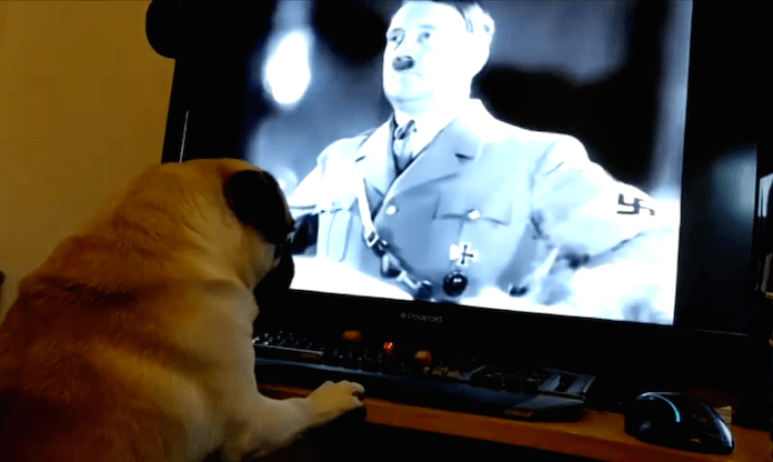Hund Nazi-Gruß Adolf Hitler