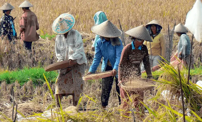 Nobelpreisträger Greenpeace GMOs