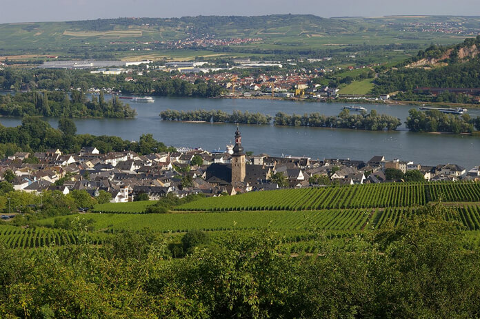 The landscape of Rüdesheim. Source.