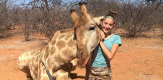 Aryanna Gourdin Giraffe