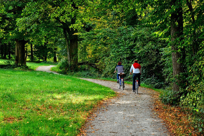 Bike forest