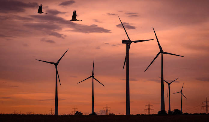 Deutsche Teilnahme Energiewende