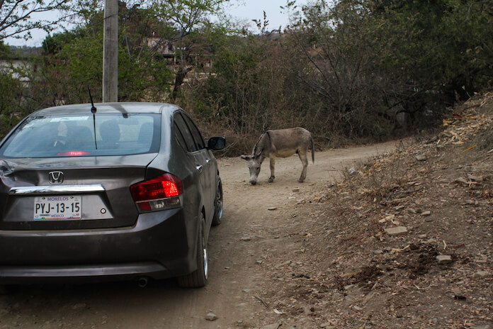 1- On the quest for the legend. Disrupted by unexpected barriers.