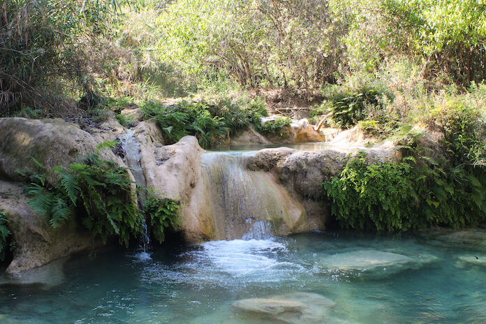 13- Das Wasser ist inmitten der Oase kristalklar.