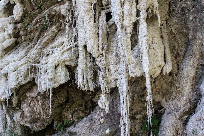 7- The sun destroys rocks and trees.