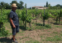 Winzer Thomas Fabian auf seinem Weingut