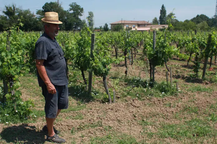 Winzer Thomas Fabian auf seinem Weingut