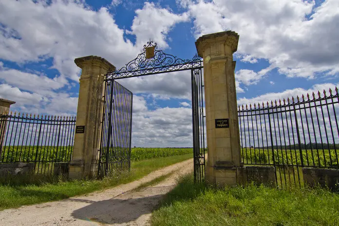 7 Tonnen Trauben von französischen Weinreben gestohlen (Foto: emanuela piazza)