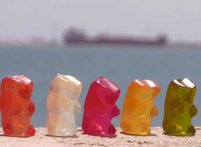 Gummibärchen werden mit Sklavenarbeit in Brasilien produziert (Foto: ARD)
