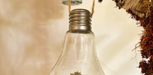 Cradle to Cradle – Wiege zur Wiege: nachhaltige Kreislaufwirtschaft für eine bessere Umwelt