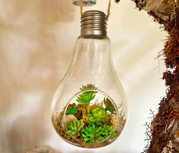 Cradle to Cradle – Wiege zur Wiege: nachhaltige Kreislaufwirtschaft für eine bessere Umwelt